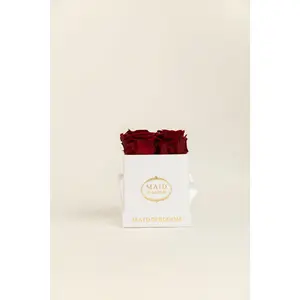 Timeless Mini Square | Preserved Roses