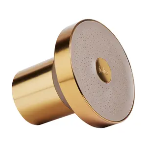 Jolie Brushed Gold Shower Head