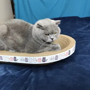 High-Quality Oval Cat Scratcher Bed for Kitties and Cats, Durable Cardboard Scratch Surface, Comfortable Nest, Indoor Pet Training Accessory, Home