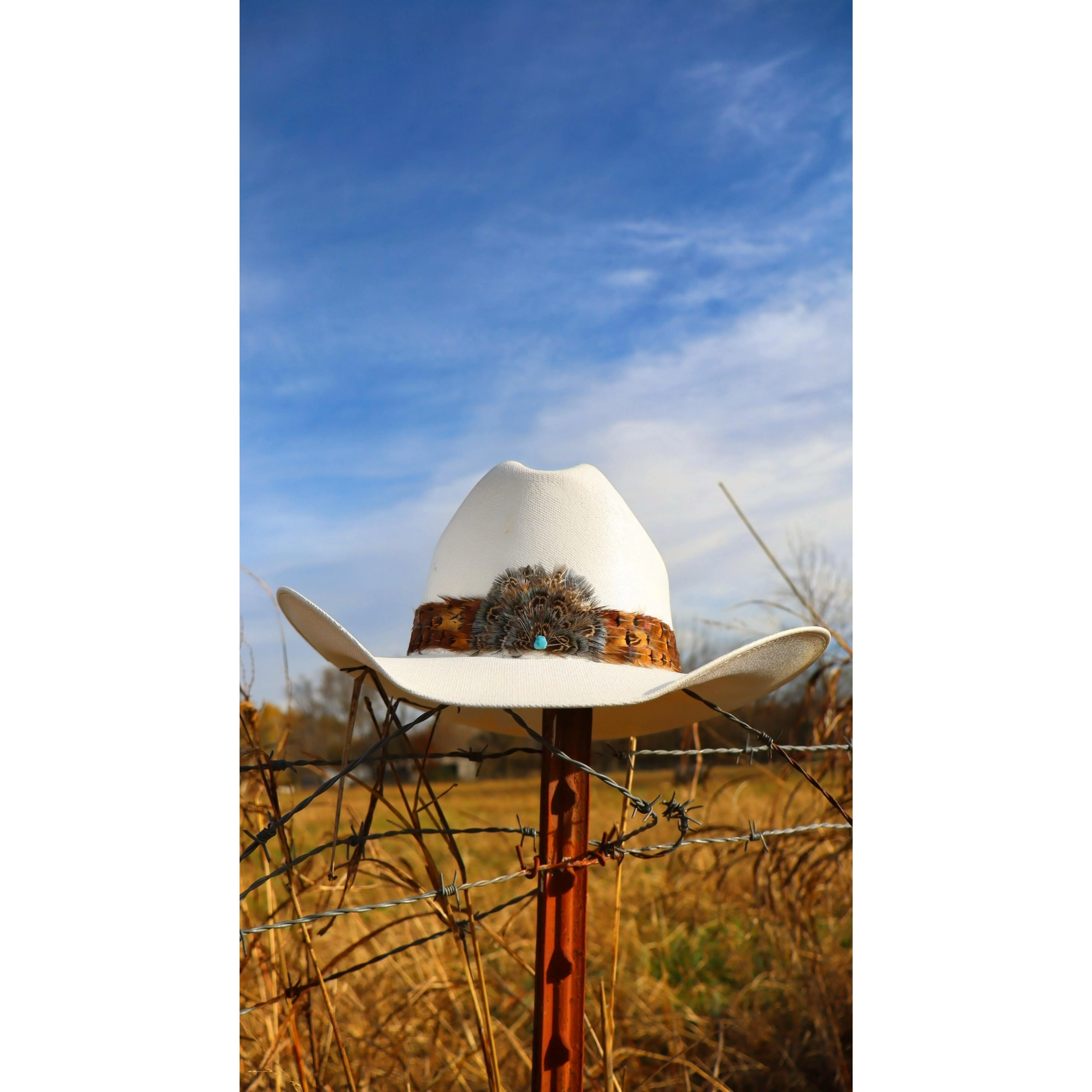 Unisex Leather Cowboy Hat Band - Fashion Hair Accessory with Small Crown Accent, Feather Detail