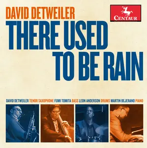 David Detweiler - There Used to Be Rain  [COMPACT DISC - CD]