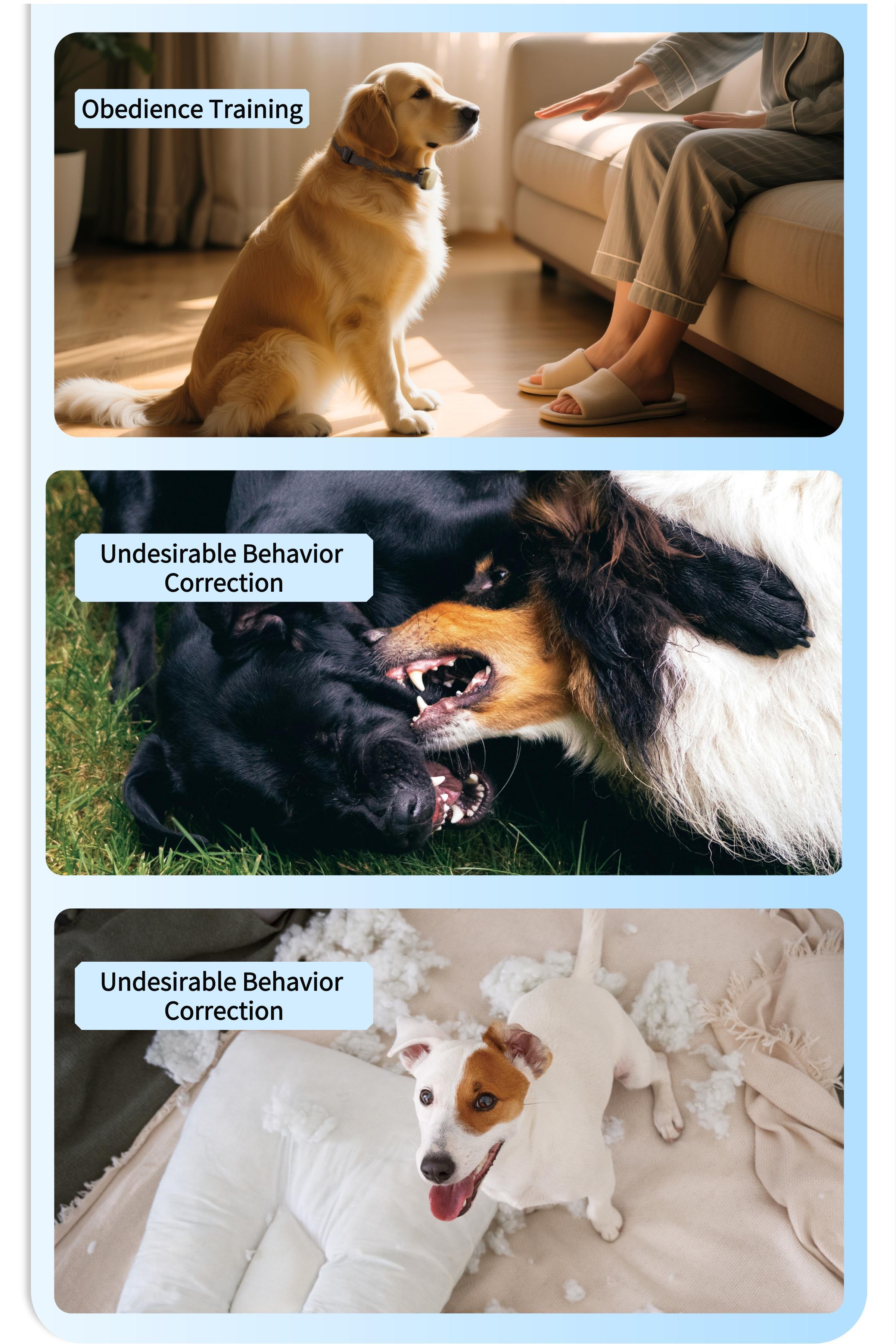 Dog Training Collar & Leash Set 3200ft Remote Control | IP67 Waterproof Built-in Light Magnetic Charging 30 Static 10 Vibration Modes for Dogs 10-120 lbs