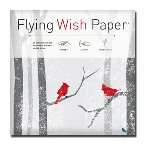 WINTER WISHES Flying Wish Paper Large Kit - Seasonal Magic for 50 Dreamers | Whimsical Interactive Wish-Making Kit with Writing Sheets, Launch Platforms, Pencils - Fun Group Party Activity - Festive Gift Set with Glossy Gift Envelope - For All Ages
