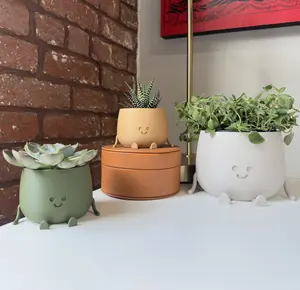 3D Printed Happy Face Planter, Eco-Friendly Bio-Based Material, Cute Plant Pot, Face Planter Pot, Head Planter, Succulent Pot