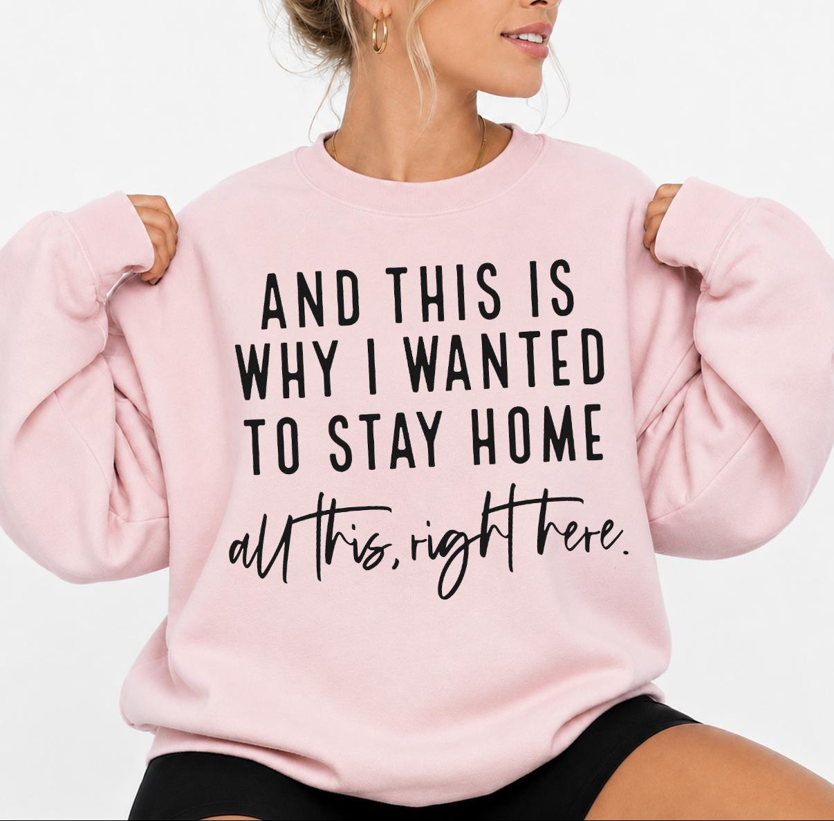 Funny Introvert Sarcastic Shirt, And This Is Why I Wanted To Stay Home Sweater, Adult Humor Silly Saying Shirt, Trendy Popular T-Shirt