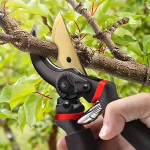 Vaseeka Thickened SK5 Steel Pruning Shears, Ultra-Sharp Premium Gardening Shears, Modern Style, Garden Pruning, Branch Trimming, Comfortable Grip, Durable Fruit Tree Pruning Shears, Garden and Floral Tools