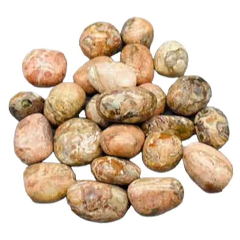 Picasso Jasper Tumbled Stones, 1 lb Bulk Semiprecious Stones for Artists, Abstract Art, Grounding, Bulk Apothecary & Metamorphosed Limestone Jewelry Accessories