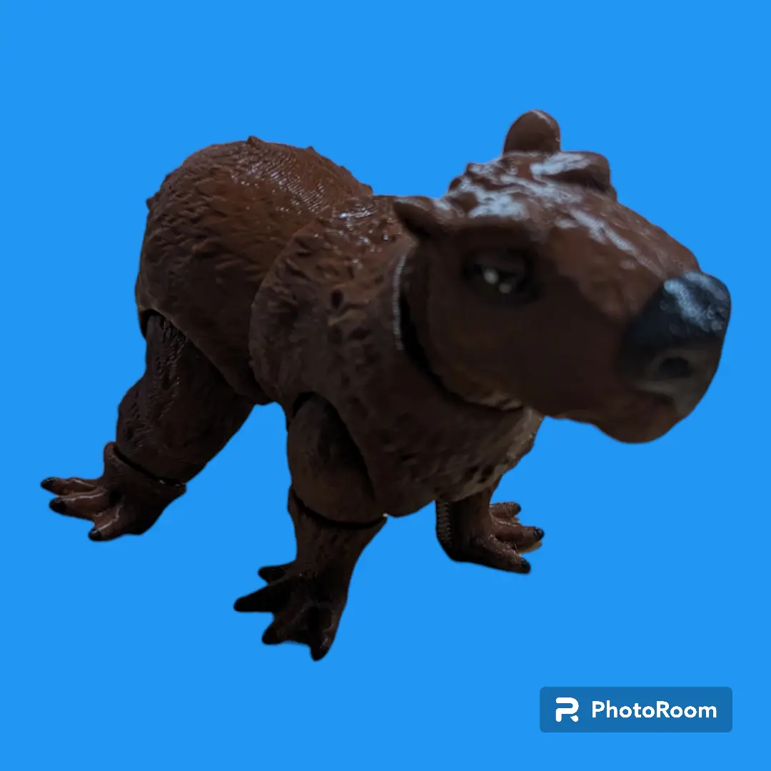 Capybara 3D Printed