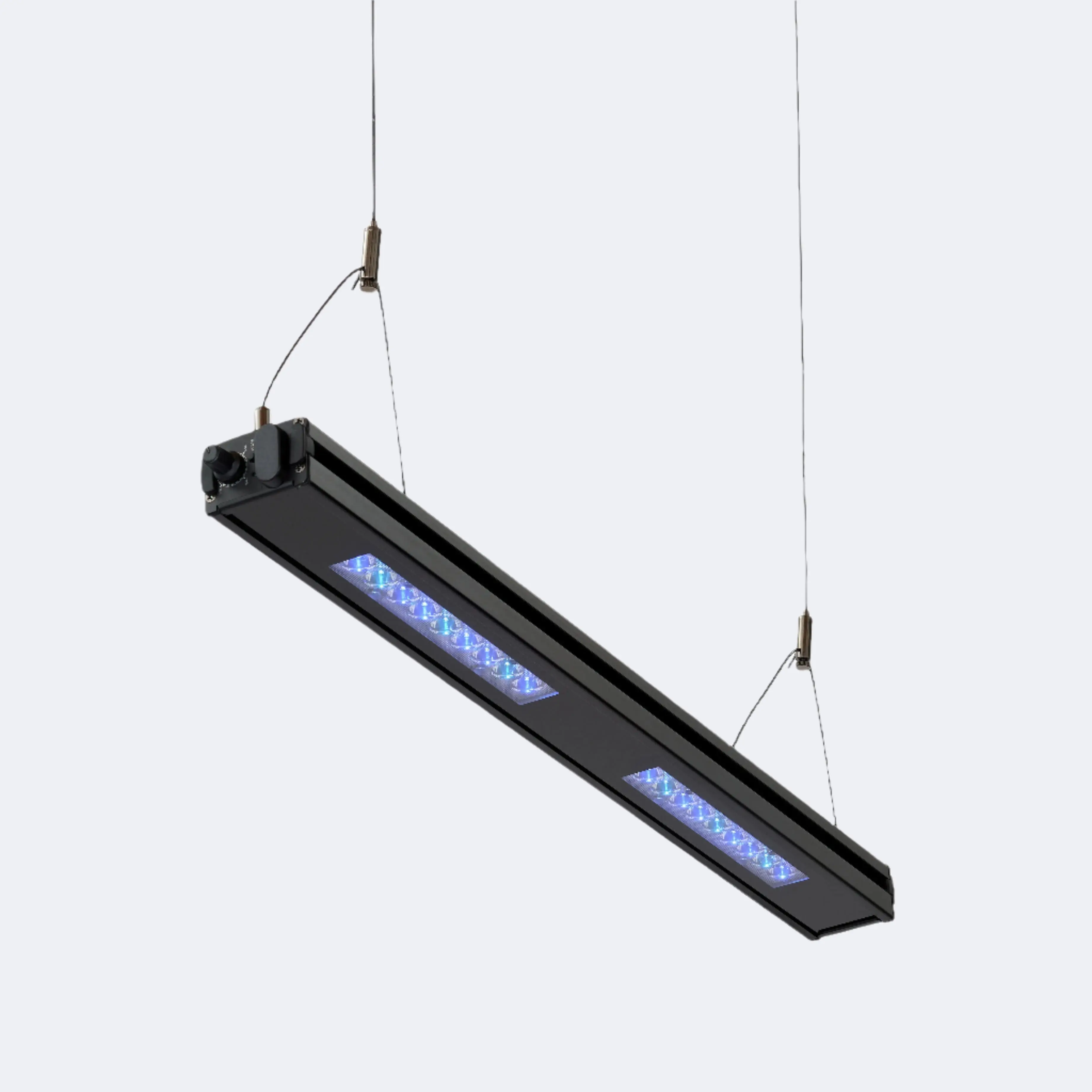 Edge 24