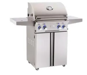 American Outdoor Grill 24 Inch Portable Stainless Steel Propane Grill with Rotisserie Backburner and Backlit Knobs