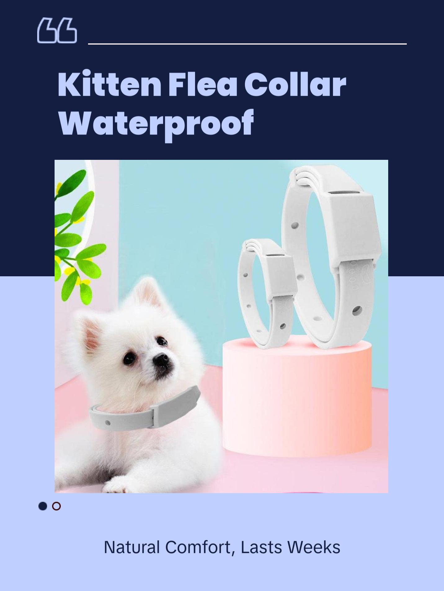 Pet Collar Flea Ring for Kittens and Pets, External Deworming