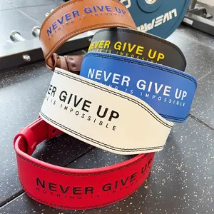 High-End Embroidered Fitness Waist Belt with Lumbar Support, Unisex Weightlifting and Deadlift Protection Gear, Ideal for Sports Training, Supporting Belts