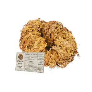Herbalsita Jericho Rose (2"-3.5")  Resurrection Plant Natural Spiritual Decor Growth Renewal Symbol for Home & Spiritual Space