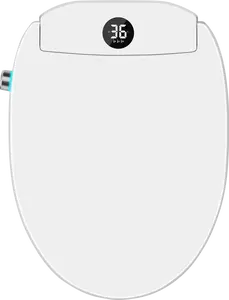 BG 2900RCE - Smart Toilet Seat for Elongated Toilets. Auto Open Close Seat, Front and Back Bidet Wash, LED, Stainless Steel Nozzle