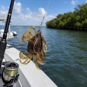 Badger Backwater Soft Crab — Dual Hook Rig