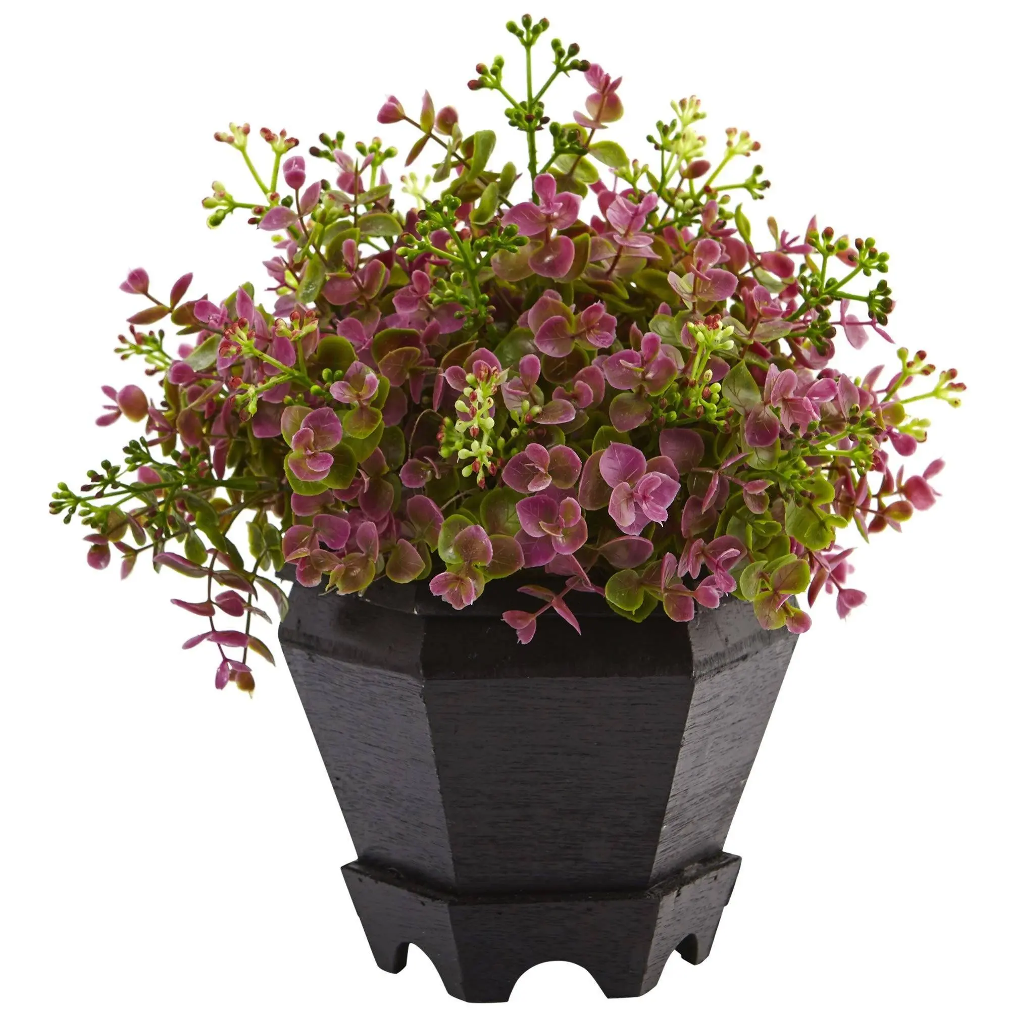Decorative Tiny-Leaf Sedum & Eucalyptus Plants with Multi-Toned, Purples-Infused Foliage in Black Wooden Pot - Both Indoor/Outdoor Garden Decor, Home Improvement Garden Supplies