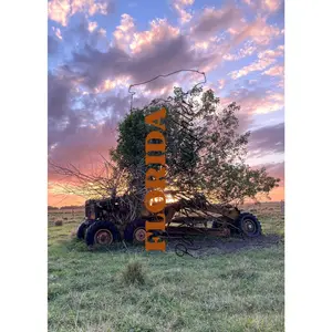 The Previous Generation - 5x7 photo print