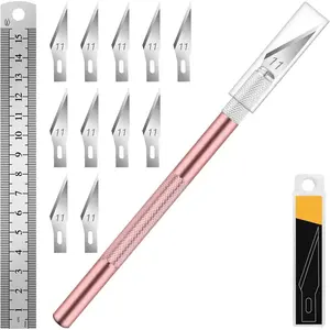 1 Pcs Craft Hobby Knife with 11 Pcs Stainless Steel Blade Kit, 1pcs Steel 15CM Ruler for Art, Scrapbooking, Stencil (Pink)