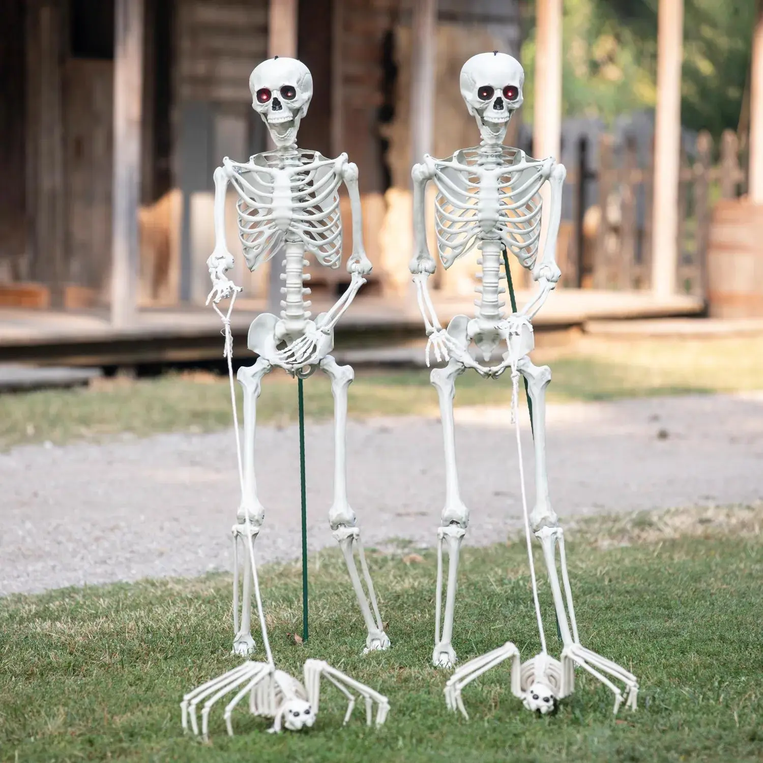 Spooky 4-Pc. Posable Plastic Bone-Like Life-Size Walking Skeleton Pet Spiders Halloween Decoration Kit, Creepy Home & Party Decor for Halloween Aesthetic