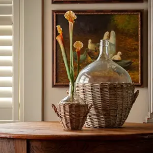 Large Sarracenia Stem