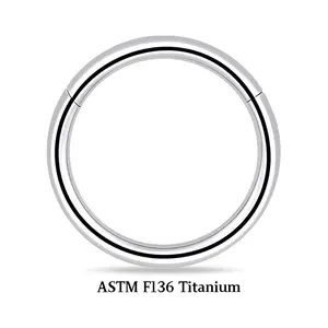 BODY FREEDOM CZ Titanium Clicker Nose Ring Hoop, ASTM F136 Hinged Septum Ring for Women, Cartilage Tragus Helix Piercing Jewelry