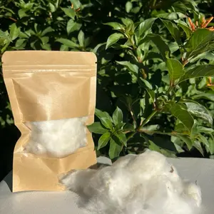 Organic Raw Cotton with Seed– For Liminasyon, Altar Work & Ancestral Practices 11 Gram