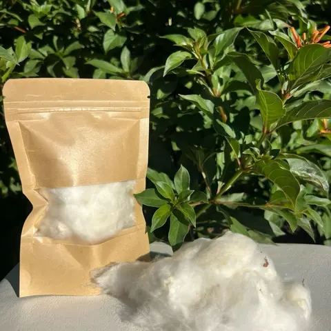 Organic Raw Cotton with Seed– For Liminasyon, Altar Work & Ancestral Practices  (30 Gram, 81 Gram)