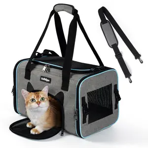 Rabbitgoo Fortress Meow Face Pet Carrier for cat & small dog