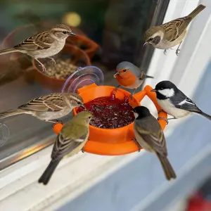 Window Bird Feeder, Portable Suction Cup Bird Feeder for Seeds or Jelly, Outdoor Window Mount Bird Feeding Tray for Garden Wildlife Observation