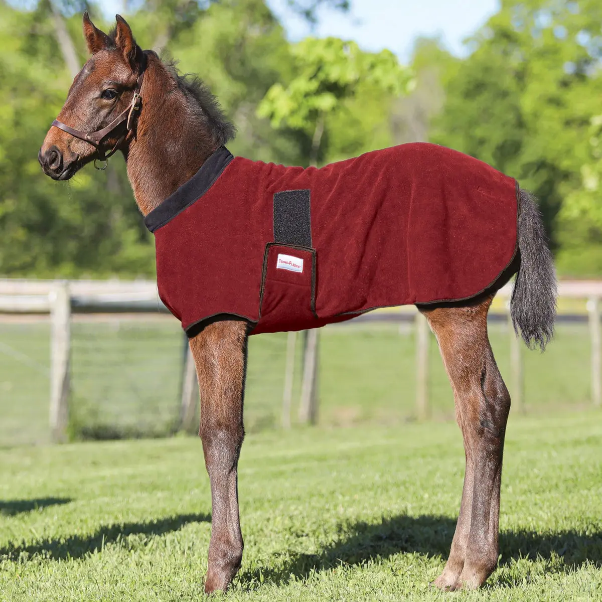 Dura-Tech Non-Pill Polar Fleece Foal Warmer for Horse Breeding, Does Not Absorb Moisture, Easy On and Off, Keeps the Foal Warm and Dry, Soft Plush