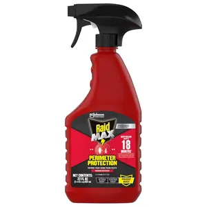Raids MAX Perimeter Protection Ant & Roach Killer Spray, Prevents Bugs by Killing for Up to 18 Months, Indoor and Outdoor Use, 22oz