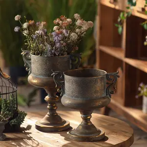 Antique-Style Aged Iron Flower Pots for Garden Decoration, Double-Eared Dried Flower Vases, Home Decor Shooting Props