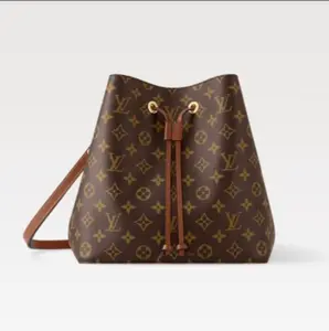 Pre-owned Louis Vuitton vcoated canvas Bucket bags Brown Straps NeoNoe