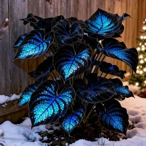 Sapphire Vein Hosta Seeds Perennial Shade Plant for Garden and YardNon-GMO USA Made with Easy Care instructions forVersatile Growth in Shaded Areas