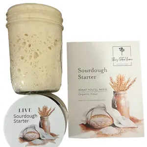 She’s Rooted Home Live Organic Sourdough Starter | Active, Beginner-Friendly, Ready to Use for Bake Bread, Pizza, Pancakes & More Baking