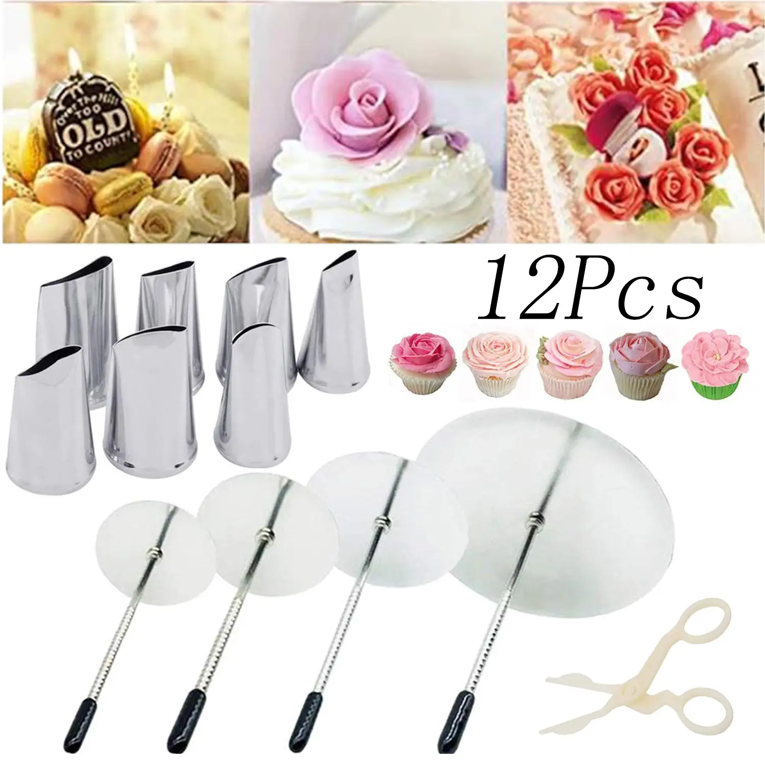 Stainless Steel 12-Piece Cake Decorating Set, Bakeware Kit for Icing Flowers
