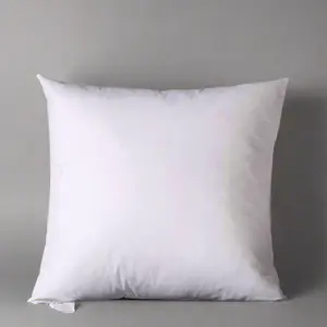 Goose Feather Throw Pillow Insert