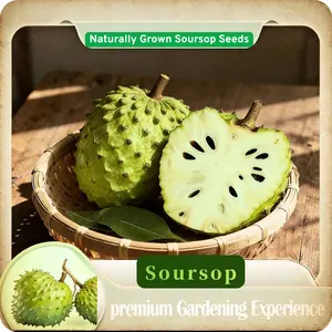 20 Soursop Fruit Seeds – Easy to Grow Tropical Graviola Tree, High Germination Rate, Year-Round Planting, Juicy Exotic Superfruit for Home Garden Indoor Outdoor