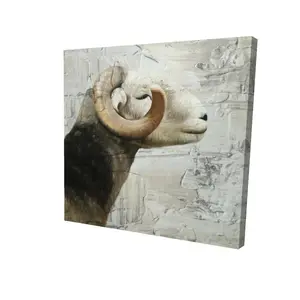 212 MAIN Aries White Farm Animals Canvas Photo - 24x24 in Artistic Decoration, Bedroom Wall Art, Thoughtful Gift for Home Enthusiasts, Begin Home Decor 2080-2424-AN455-1, Print