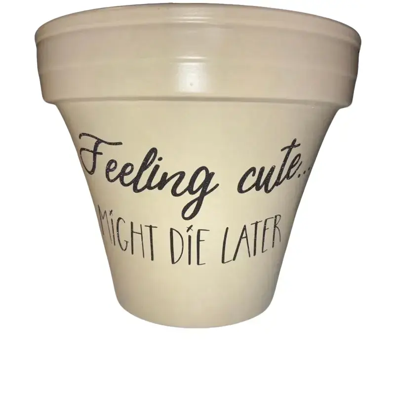 Personalized Clay Pot - "Feeling Cute Might Die Later" Design for Unique Planting Needs