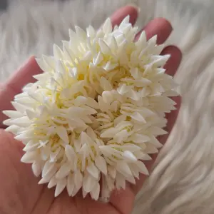 Traditional gajra hair accessories