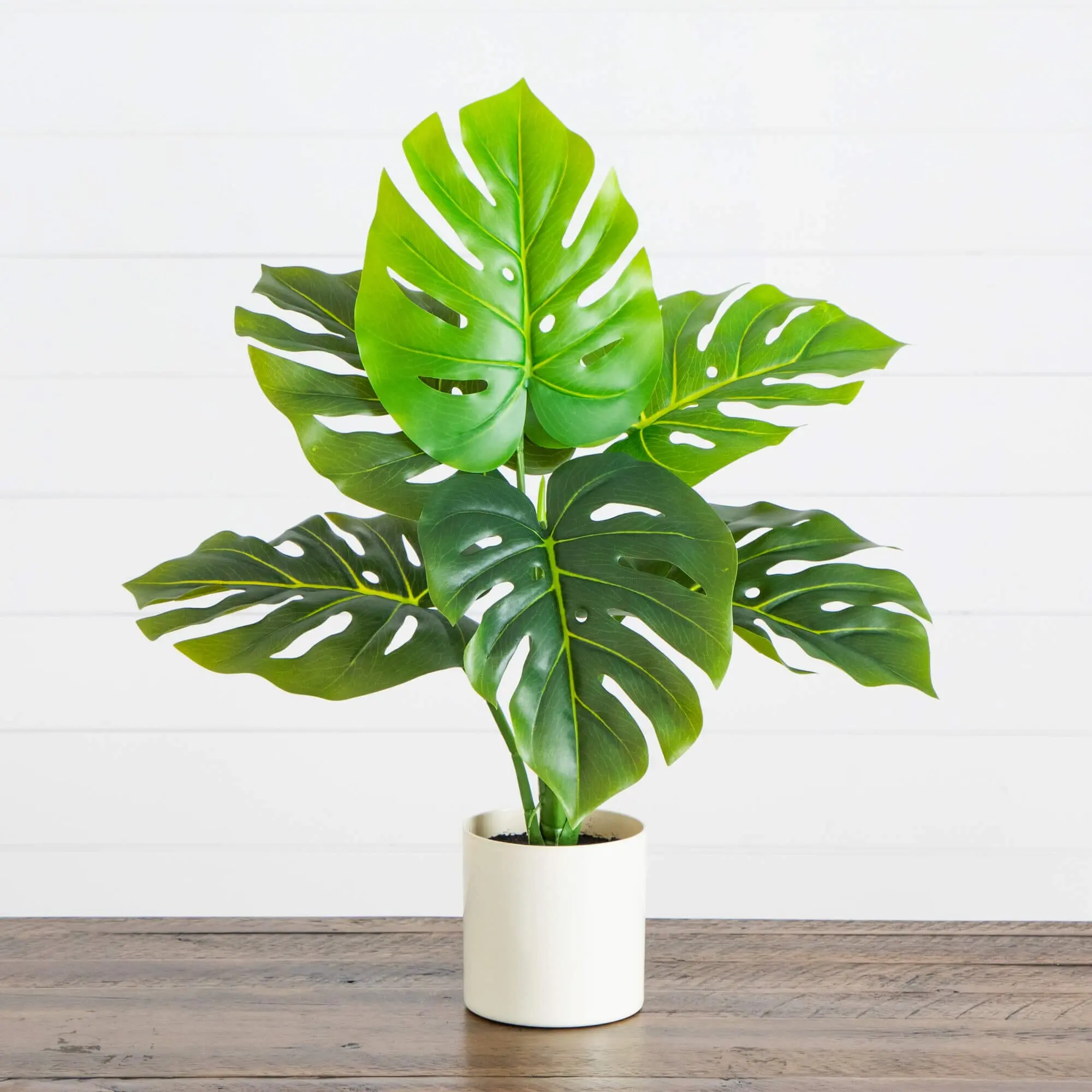 20-in Artificial Swiss Monstera Tropical Decorative Potted Plant, Tabletop & Dinner Table Home Decor Supplies