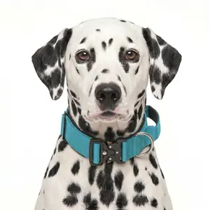 Heavy Duty Tactical Dog Collar for Dalmatian No Pull K9 Military Training Gear with Quick Release Metal Buckle Handle Adjustable for Medium Large Dogs