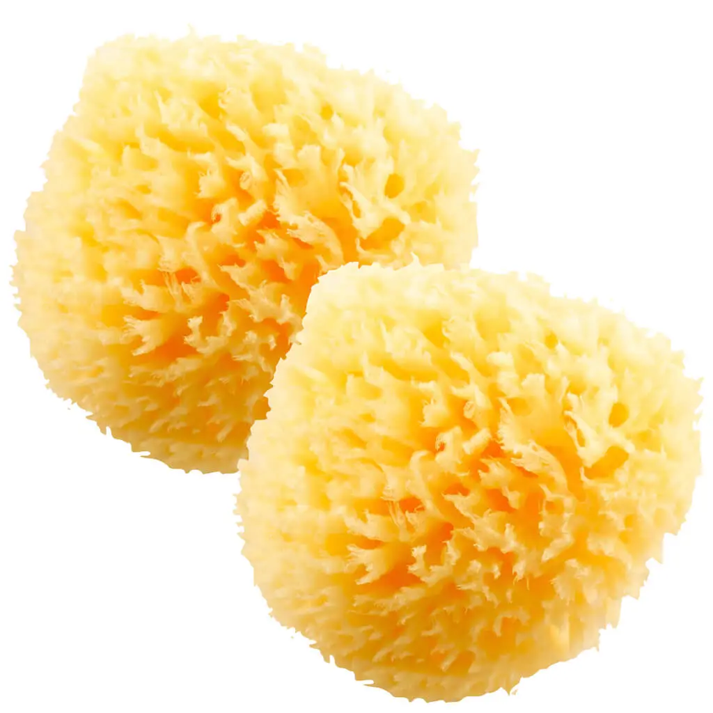 HartFelt Natural Cleaning Bath Sponge 4in Ultra Soft Premium Sea Wool Sponge Soft on Tender Skin, Biodegradable