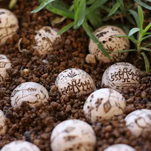 20pcs Unique Cultural Decorative Stones, Creative Garden Scene Layout, Fish Tank Decoration, Spring Summer Yard Lawn Ornament