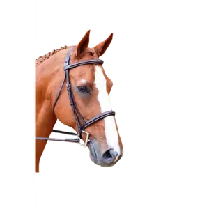 KL Aster Bridle Fancy Padded Bridle