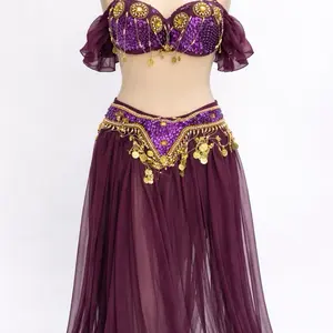 Belly Dance Costume Purple Gold | Egyptian Dance Outfit | Chiffon Skirt Coin Belt Set | Performance Costume | Festival Dance Wear