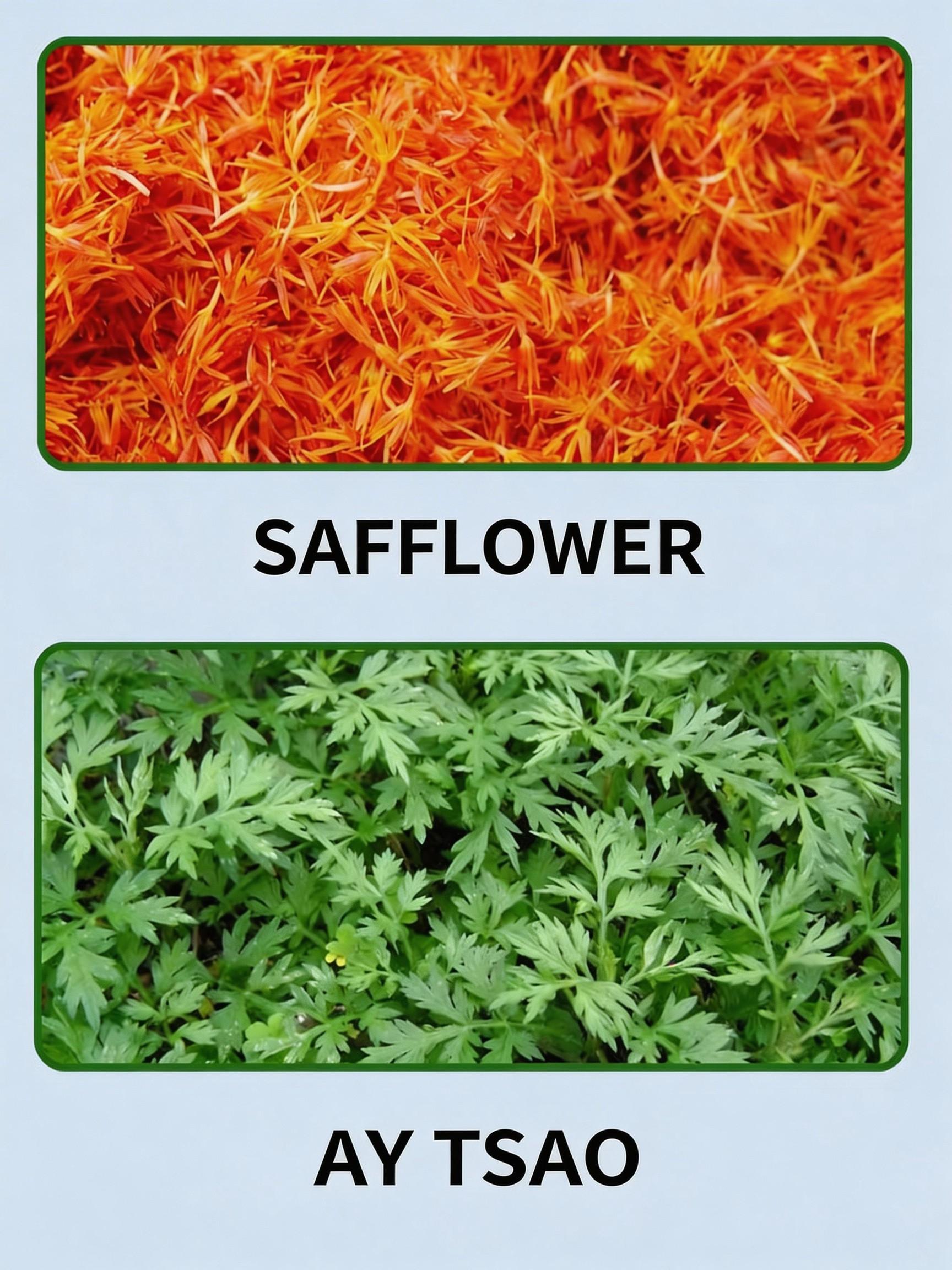 Natural Botanical Heat Therapy Patches for Deep Tissue Comfort, Self-Heating Herbal Pads for Active Joint Mobility, Foot & Knee Soothing Care 7 Count