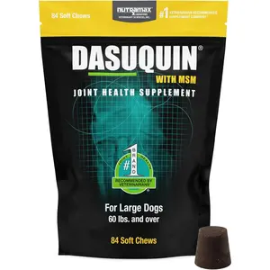 Nutramax Dasuquin for Large Dogs, Joint Health Soft Chews with Glucosamine, Chondroitin, ASU & MSM - Supports Healthy Joints, Hip & Mobility - Vet Recommended - 84 Count (or your pack size)