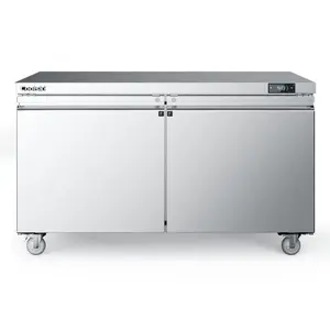 Coolski 60 in. 17.6 cu. ft. Commercial Auto / Cycle Defrost Undercounter Upright Freezer in Stainless Steel